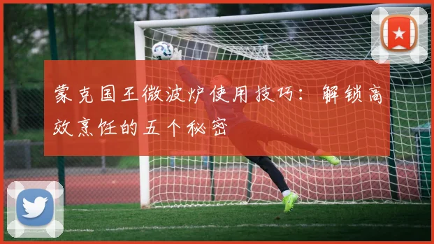 蒙克国王微波炉使用技巧:解锁高效烹饪的五个秘密