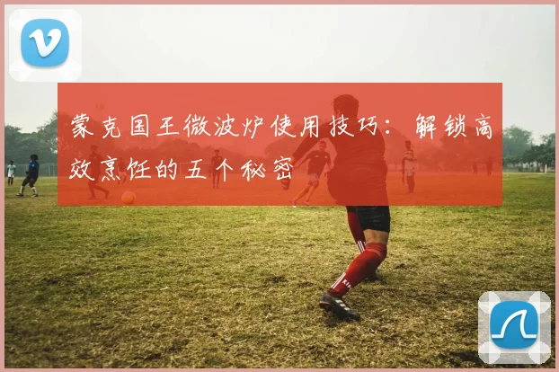 蒙克国王微波炉使用技巧：解锁高效烹饪的五个秘密